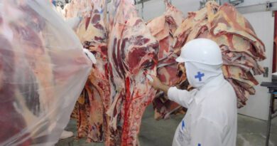 Com agro, indústria e serviços, PIB do Tocantins dispara e tem o 2º maior avanço do país