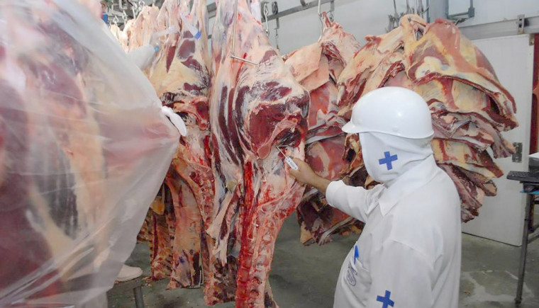 Com agro, indústria e serviços, PIB do Tocantins dispara e tem o 2º maior avanço do país