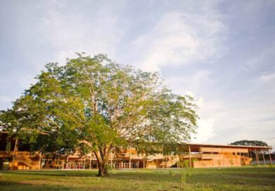 Fundação Bradesco abre diversas vagas de trabalho para escola-fazenda no Tocantins