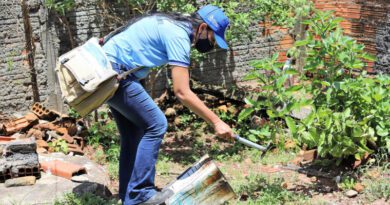 Explosão de casos de dengue acende alerta em Araguaína e gera superlotação na saúde