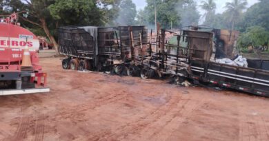 Dois caminhões com carne e arroz são consumidos pelo fogo na BR-153, no Tocantins