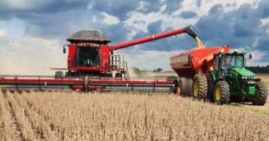 Colheita da soja avança no Tocantins e confirma safra satisfatória, apesar dos desafios logísticos