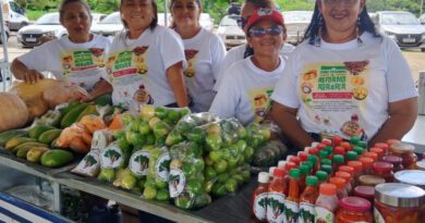 De babaçu a capim-dourado: feira destaca 200 produtos e sabores do cerrado tocantinese