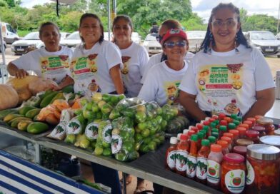 De babaçu a capim-dourado: feira destaca 200 produtos e sabores do cerrado tocantinese