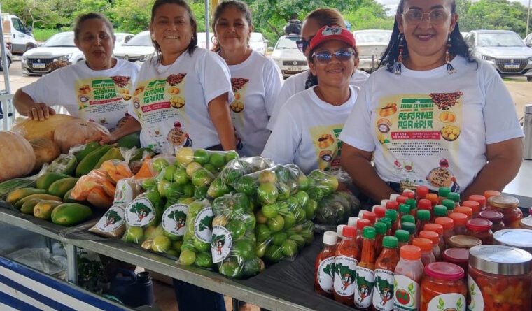 De babaçu a capim-dourado: feira destaca 200 produtos e sabores do cerrado tocantinese