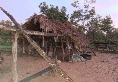 Homem chega pedindo emprego, ganha confiança e mata idoso para roubar moto e celular