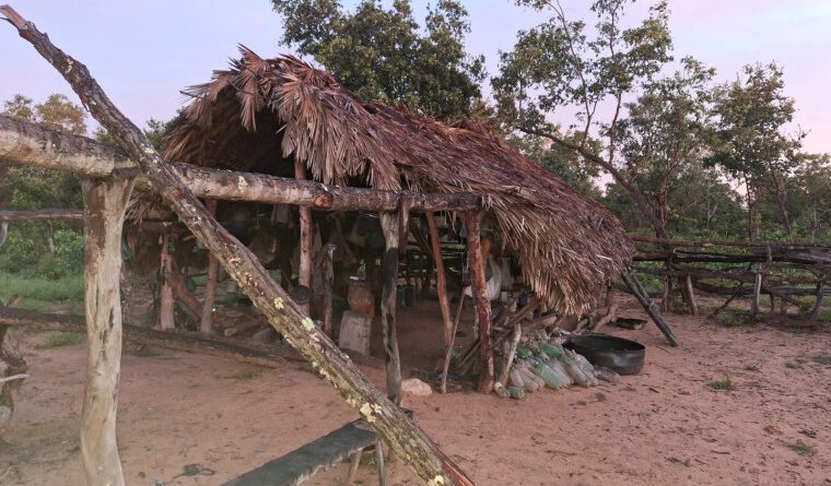 Homem chega pedindo emprego, ganha confiança e mata idoso para roubar moto e celular