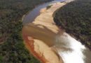 Grupo agropecuário admite devastação e fecha maior acordo ambiental da história do Tocantins
