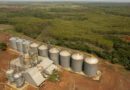 Gigante do agro anuncia investimento de R$ 100 milhões em pequena cidade do Tocantins