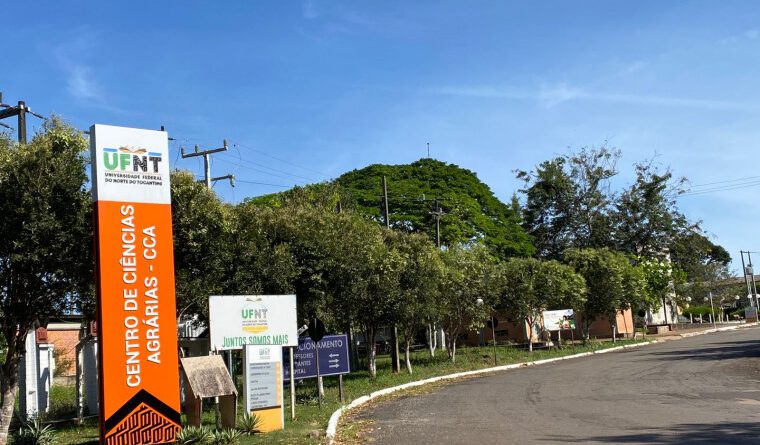 Concurso da UFNT oferece vaga com remuneração de R$ 26 mil para professor titular-livre