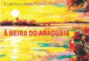Livro ‘À beira do Araguaia’ vai representar o Tocantins em projeto de influenciadora literária