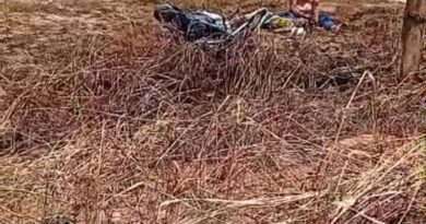 Motociclista morre após colisão contra árvore na TO-222; esposa está em estado grave