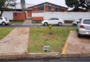 Mudança na direção de escola quilombola gera críticas e questionamentos em Muricilândia