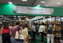 Artesanato do Tocantins ganha destaque nacional e chama atenção de lojistas em São Paulo