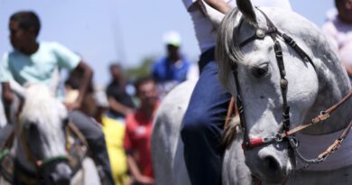 Ministério Público exige proibição de álcool e fiscalização rígida na cavalgada de Gurupi em 2026