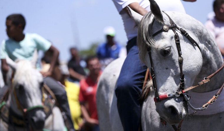 Ministério Público exige proibição de álcool e fiscalização rígida na cavalgada de Gurupi em 2026