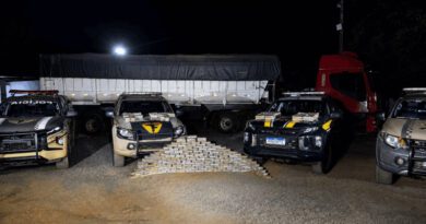 Motorista abandona caminhão com 239 kg de cocaína e foge para área de mata no Tocantins