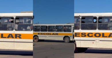 Vídeo de cavalos dentro de ônibus escolar no interior do Tocantins viraliza nas redes sociais