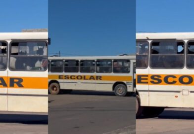 Vídeo de cavalos dentro de ônibus escolar no interior do Tocantins viraliza nas redes sociais