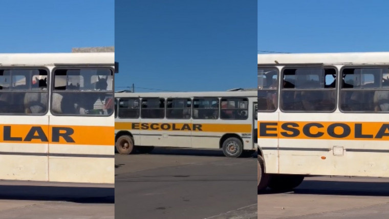 Vídeo de cavalos dentro de ônibus escolar no interior do Tocantins viraliza nas redes sociais