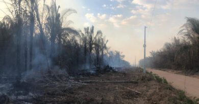 Fumaça de queimadas também pode afetar o fornecimento de energia, alerta concessionária Fumaça de queimadas também pode afetar o fornecimento de energia, alerta concessionária