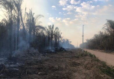 Fumaça de queimadas também pode afetar o fornecimento de energia, alerta concessionária