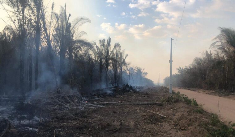 Fumaça de queimadas também pode afetar o fornecimento de energia, alerta concessionária