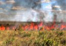 Com risco de incêndios em alta, Tocantins suspende queimas controladas até 31 de outubro