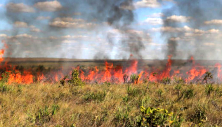 Com risco de incêndios em alta, Tocantins suspende queimas controladas até 31 de outubro