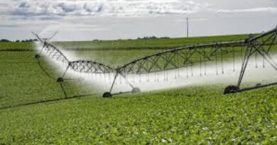 Novo plano projeta expansão da agricultura irrigada em 7 municípios do sudoeste do Tocantins