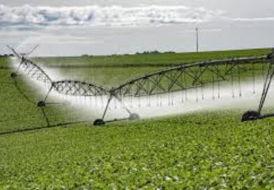 Novo plano projeta expansão da agricultura irrigada em 7 municípios do sudoeste do Tocantins
