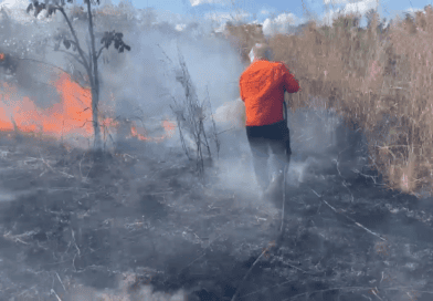 Fogo é controlado após queimar 16 hectares de plantação de milho em fazenda de Palmas
