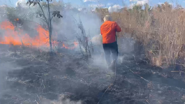 Fogo é controlado após queimar 16 hectares de plantação de milho em fazenda de Palmas