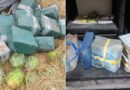 Pai, filho e outros dois réus são absolvidos no caso dos 566 kg de cocaína em carga de melancias