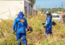 Prefeitura começa limpeza de lotes baldios, mas cobrará serviço no IPTU; multa é de R$ 300