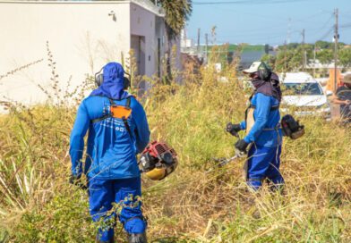 Prefeitura começa limpeza de lotes baldios, mas cobrará serviço no IPTU; multa é de R$ 300