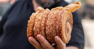 Mês de julho começa com o maior Festival Gastronômico do Brasil e muito rock n’ roll em Araguaína Mês de julho começa com o maior Festival Gastronômico do Brasil e muito rock n’ roll em Araguaína