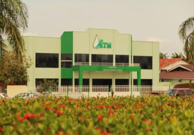 ATM promove capacitação inédita para fortalecer Conselhos de Assistência Social no Tocantins
