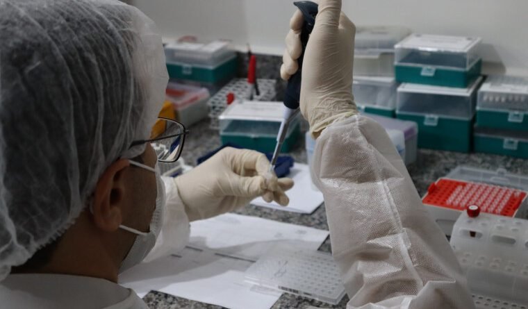Com 78 pessoas desaparecidas, Tocantins realiza mutirão para coletar DNA de familiares; veja locais