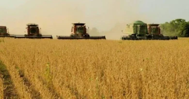 Agronegócio movimenta US$ 1,13 bilhão e representa 94% das exportações do Tocantins