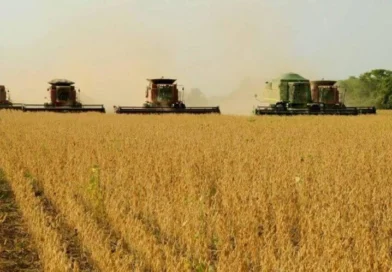Agronegócio movimenta US$ 1,13 bilhão e representa 94% das exportações do Tocantins
