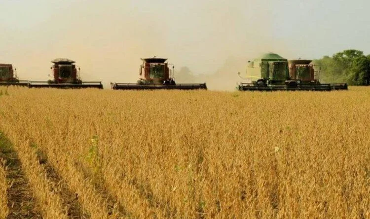 Agronegócio movimenta US$ 1,13 bilhão e representa 94% das exportações do Tocantins