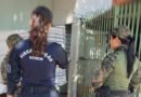 Violência sexual contra animais: Prefeitura de Palmas acompanha seis denúncias de zoofilia