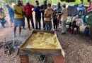 1ª Farinhada do Jatobá transforma 600 quilos do fruto em renda, tradição e memória no Tocantins