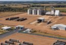 Frísia inicia obra de R$ 100 milhões em Pium para ampliar armazenagem de grãos no Tocantins