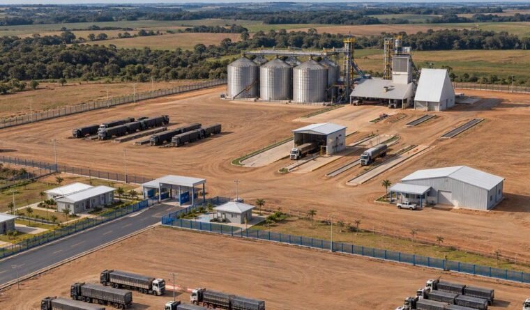 Frísia inicia obra de R$ 100 milhões em Pium para ampliar armazenagem de grãos no Tocantins