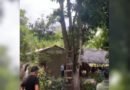 Servidor público da Educação morre após cair de árvore de 7 metros durante poda em Filadélfia