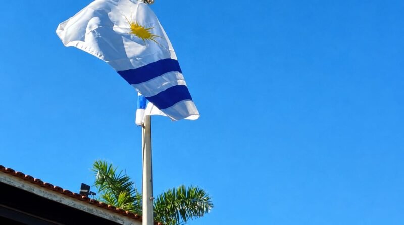 Tocantins: A Janela que se Abriu para o Mundo